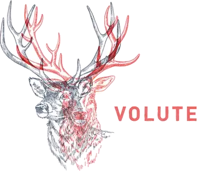 Les Equilibristes Volute Cotes Du Forez Gamay