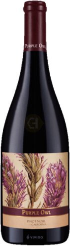 Incognito Wines Purple Owl California Pinot Noir