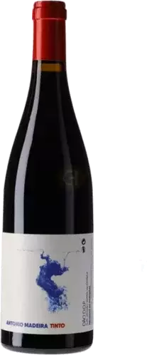 Antonio Maderia Dao Red