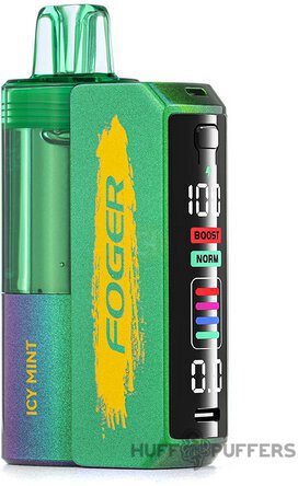 Foger Switch Pro Kit Icy Mint 30k Puff