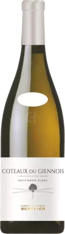 Berthier Clement Et Florian Coteaux Du Giennois Sauvignon Blanc