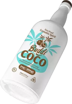 Buddi Coconut 100mg Thc