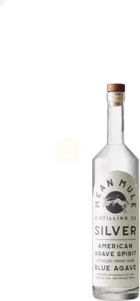 Mean Mule Agave Silver