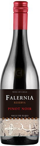 Falernia Pinot Noir Reserva Elqui Vly