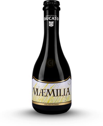Birrificio Del Ducato Viaemilla Lager