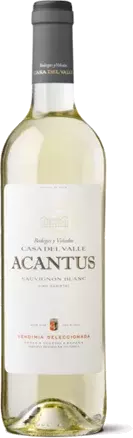 ACANTUS BLANCO