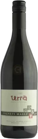 Walter Massa Terra Vino Rosso Organic Barbara Piedmont Italy