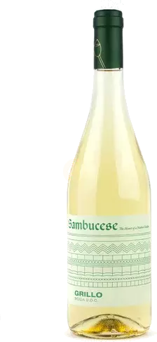 Sambucese - Grillo D.O.C. Sicilia