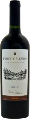 Forty Vines Merlot