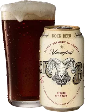Yuengling Bock Beer