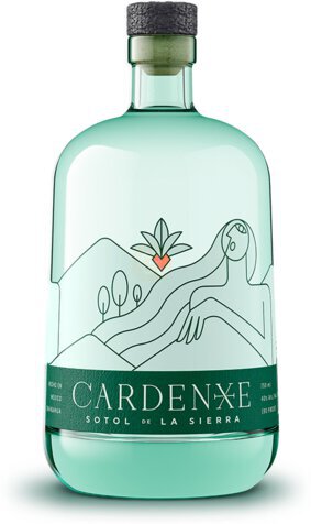 Cardenxe Sotol De Pradera Dasylirion Cedrosanum