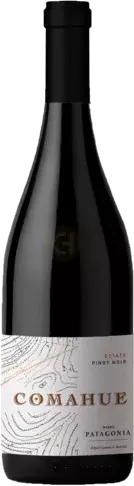 Comahue Pinot Noir Estate Patagonia Argentina Patagonia Sustainable