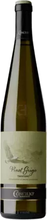 Concilio Vigneti Dolomiti Pinot Grigio