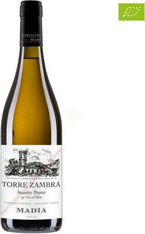 Madia Trebbiano D Abruzzo