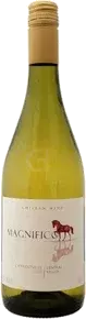 Magnifico Chardonnay Central Valley