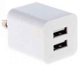 Elec Dual Wall Charger