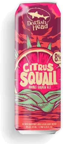 Dogfish Head Citrus Squall