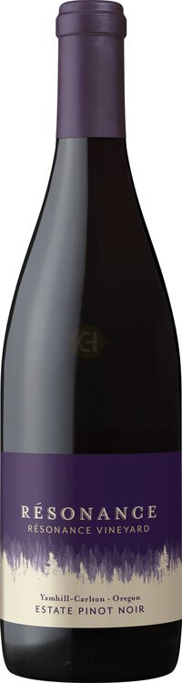 Resonance - Pinot Noir, Resonance Vineyard, Yamhil - The best